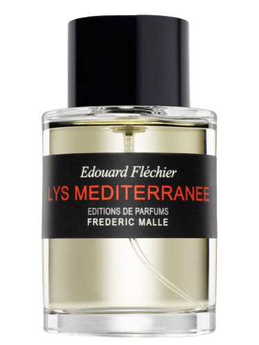 Lys Méditerranée